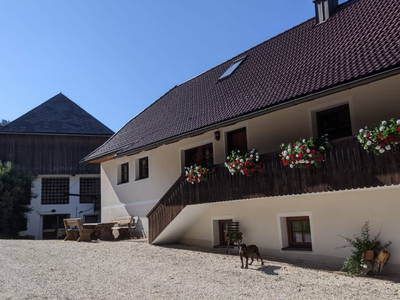 Bild 23 aus  Sank Haus - Alte Mühle