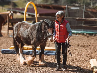 Bild 24 aus  Friedershof