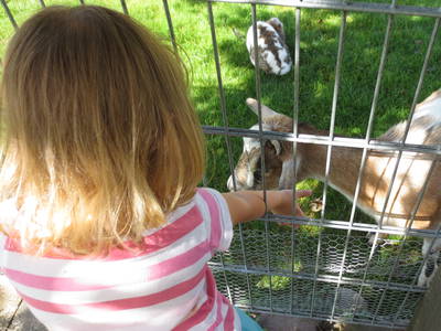 Bild 24 aus  Frankhof