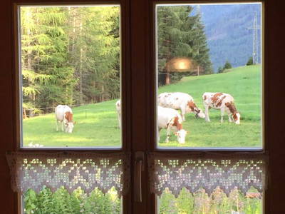 Bild 54 aus  Schwarzenbichlalm