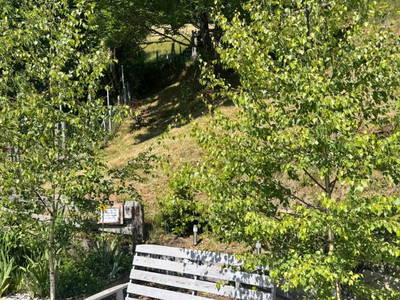 Bild 92 aus  Wallneralm