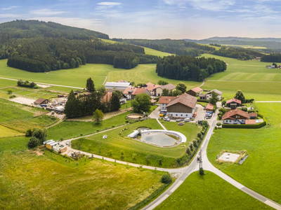 Bild 2 aus  Pointbauer