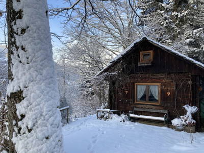 Bild 115 aus  Kräutlhütte Auer