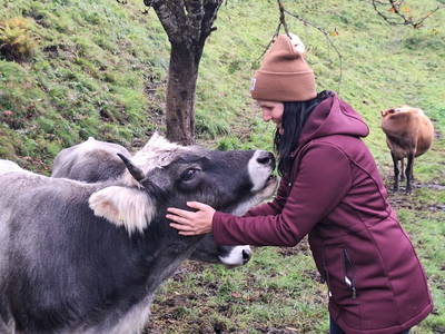 Bild 12 aus  Pfandlinghof