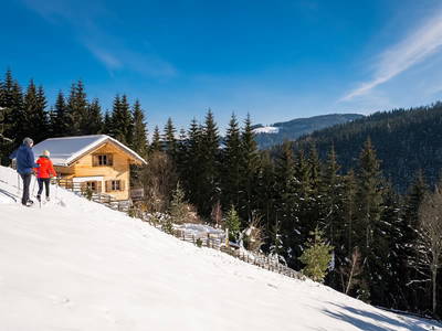 Bild 38 aus  Bergchalet Kuhgraben