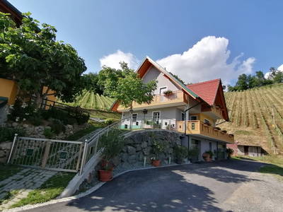 Bild 13 aus  Weingut Stoff