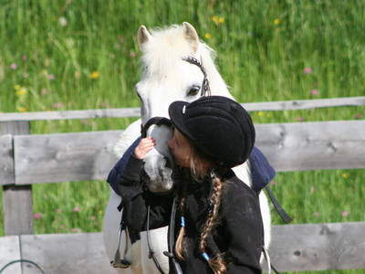 Bild 26 aus  Gut Darrehof