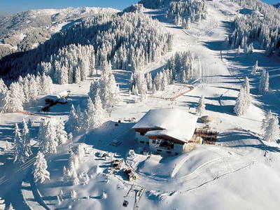 Bild 51 aus  Taxengut