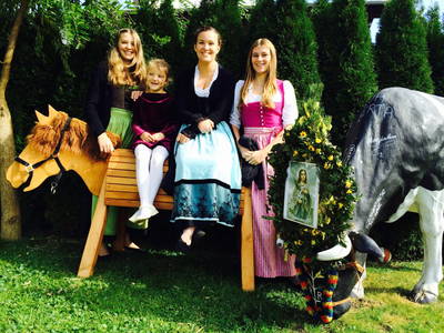 Bild 47 aus  Mesnerhof