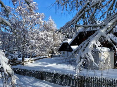Bild 3 aus  Ferienhaus Waldtraum