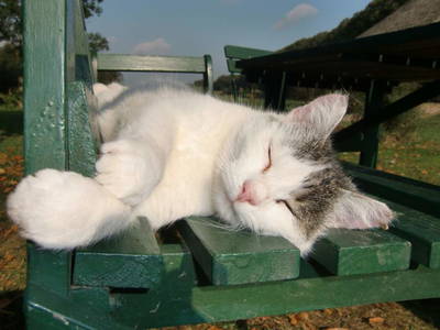 Bild 13 aus  Dreiseithof Schmadebeck