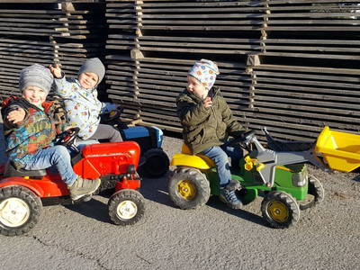 Bild 129 aus  Der Ortnerhof