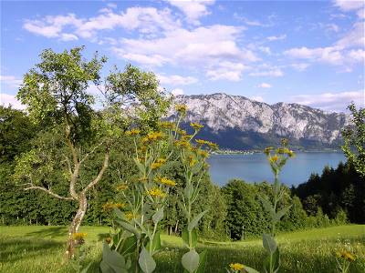 Bild 29 aus Attersee - Ferienhof Margarethengut - Salzkammergut