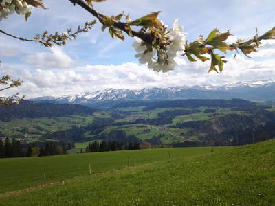 Bild 22 aus  Haus Dreiländerblick