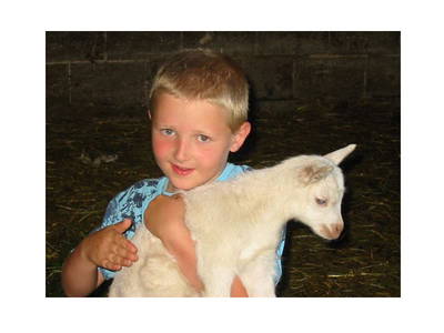 Bild 19 aus  Landgasthof Seyrlberg