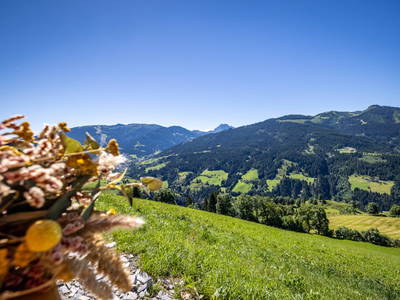 Bild 80 aus  Durchholzalm | Das Chalet am Floitensberg