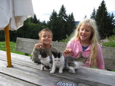 Bild 58 aus  Schoberwallner