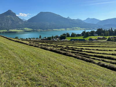 Bild 133 aus Reiterhof Suassbauer