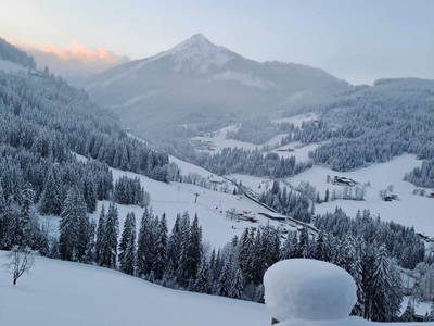 Bild 28 aus  Eckwaldhütten Leitengut