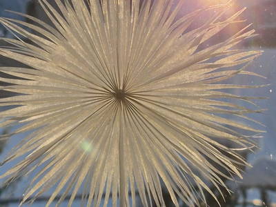 Bild 39 aus  Panoramahof Eggele