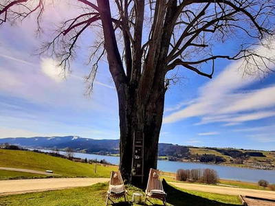 Bild 84 aus  Roiderhof am Irrsee