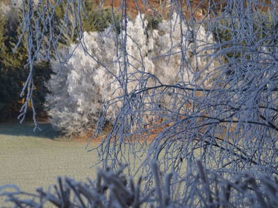 Bild 85 aus  Obergrafenberger