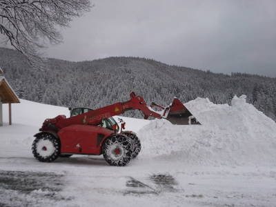 Bild 143 aus  Michlbauer