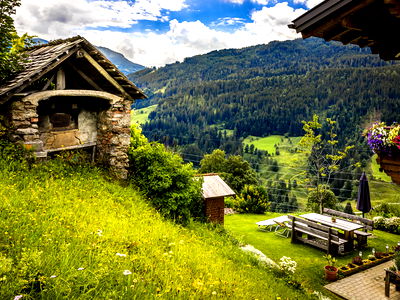 Bild 15 aus Bio Bauernhof Oberbenk