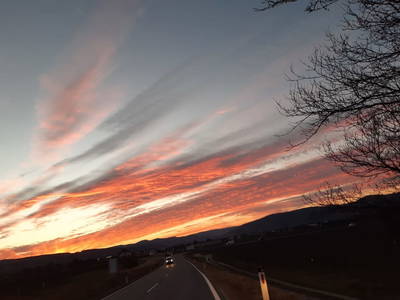 Bild 36 aus Wein u. Wohnen