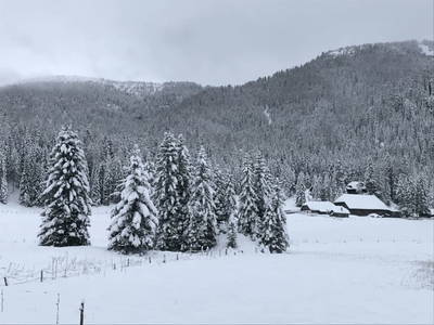 Bild 42 aus  TANAs Almhütte