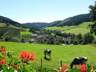 Bild 12 aus  Bauernhof Gördes