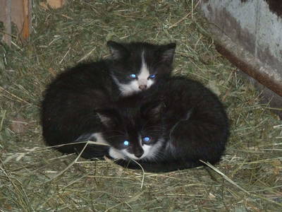 Bild 48 aus  Neuhaus