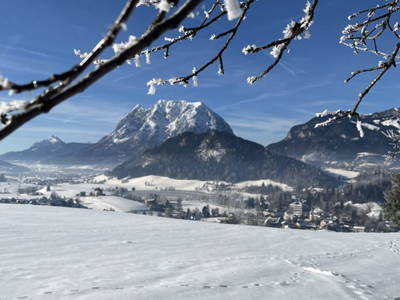 Bild 65 aus  Allamoarhof