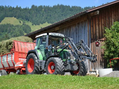 Bild 26 aus Dorner Hof