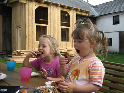 Bild 22 aus  Peinbauerhof