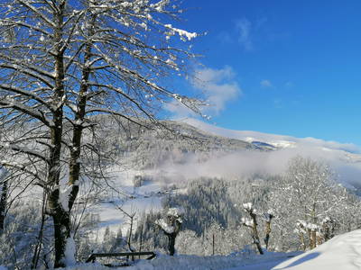 Bild 49 aus Stinig-Hof