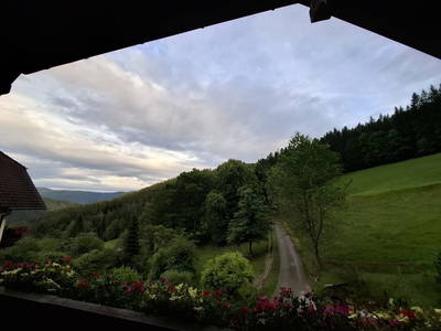 Bild 80 aus  Hanslgrabner