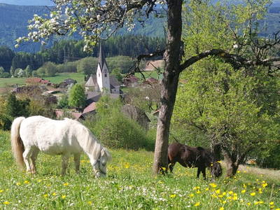 Bild 95 aus  Forstnighof