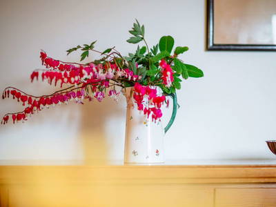 Bild 3 aus  Die Ringdorferin - Boutique Farmhouse Apartments