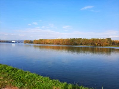 Bild 15 aus Bauernhof Webinger