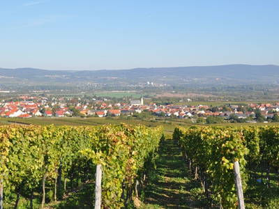 Vom Jakobsberg mit Blick ins Tal