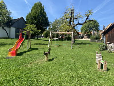 Bild 29 aus  Weingut Krispel