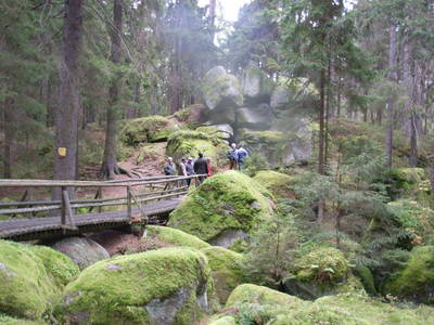 Bild 29 aus  Reitstall Familie Inghofer - Gästehaus & Bauernhof