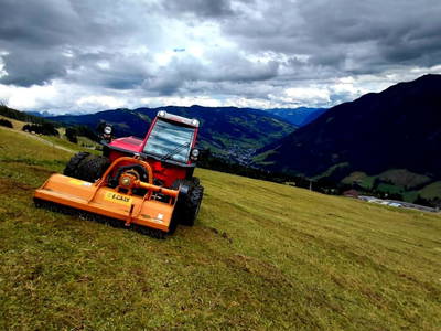 Bild 28 aus  Feriengut Hasenau