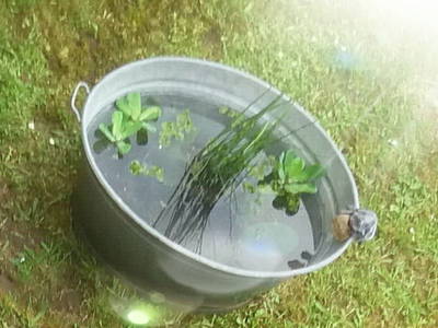 Bild 18 aus  Apartment - Haus Vera