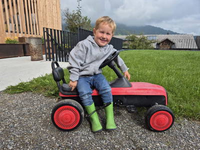Bild 16 aus  Schweizer Hof