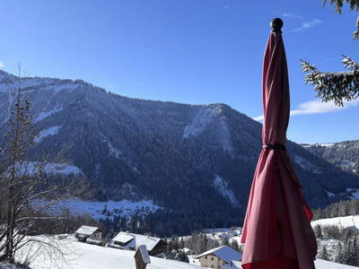 Bild 34 aus  Schwammerlhütte