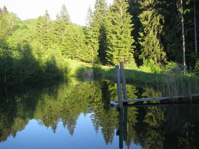 Bild 37 aus  Haus Stillbacher