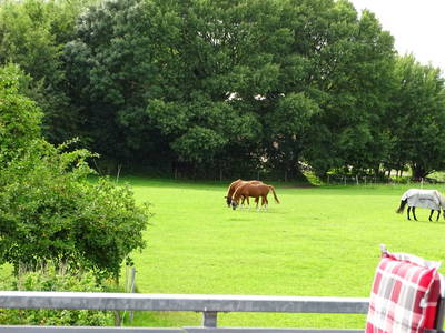 Bild 11 aus  Landhaus Scholz