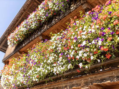 Bild 14 aus  Oberhaslachhof